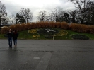 geneve_4